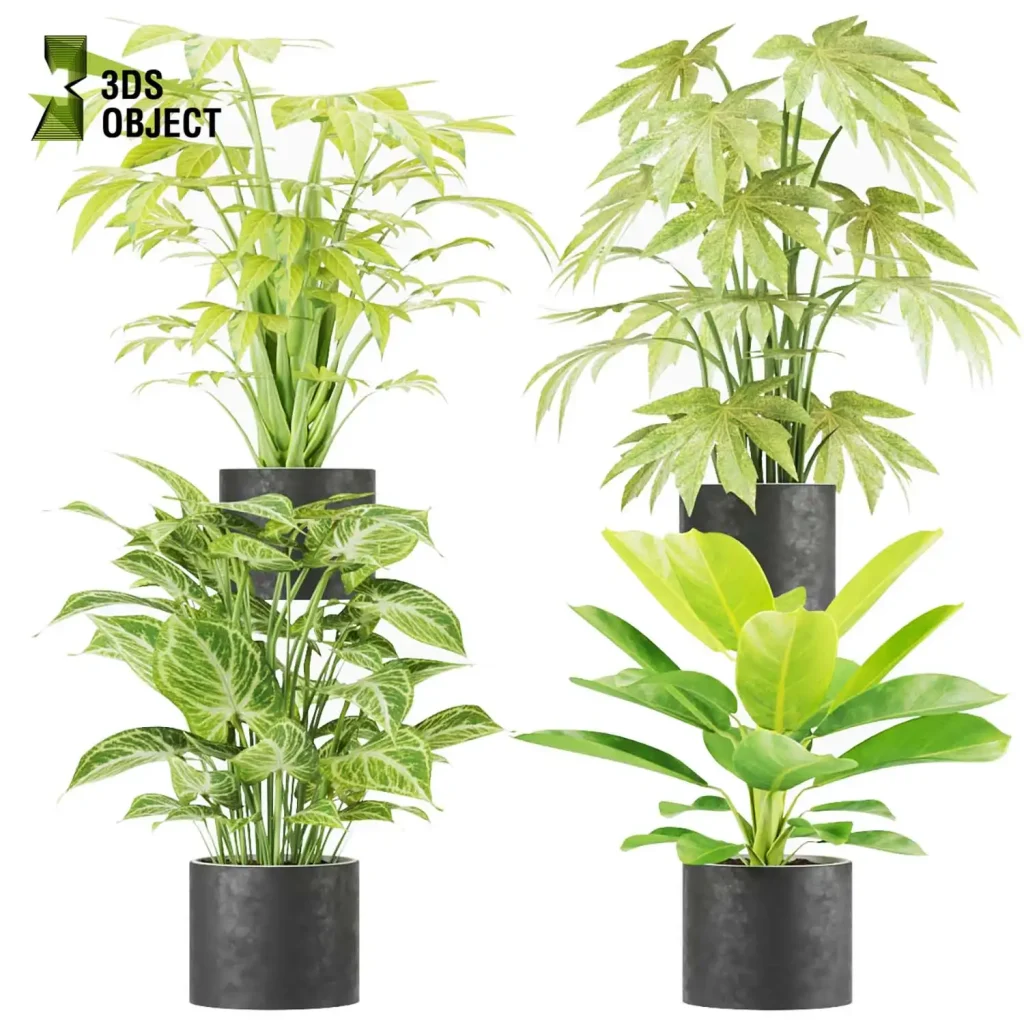 3d pot plants collection