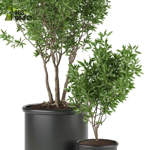 3d model plant pot free silberspinne