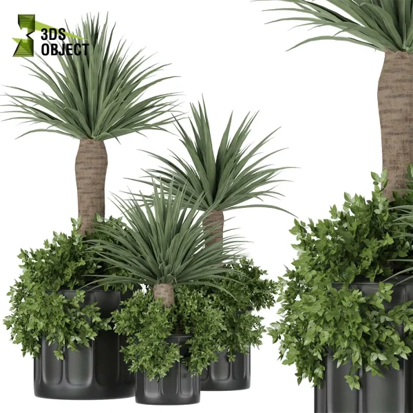 3d model plant pot free dracena luxe janet