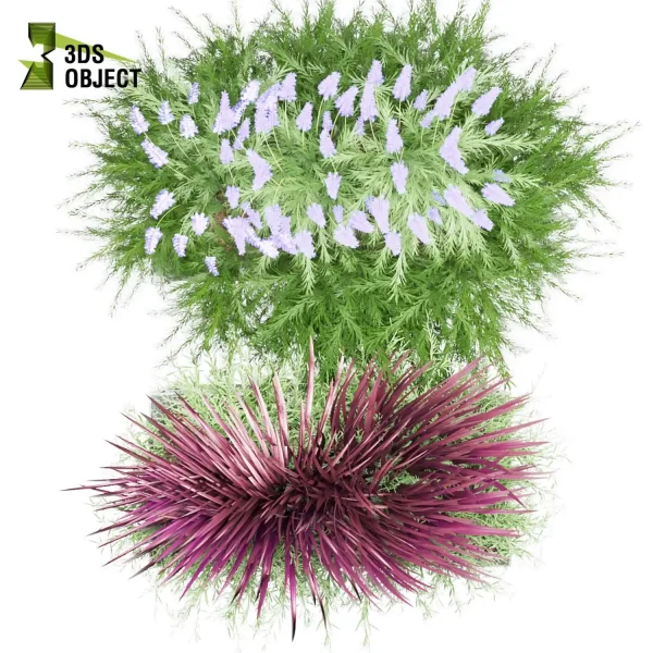 3d model plant free Vegetation tree box Foliage Acacia Cousin flower box Virtual Garden Design Botanical Simulation Plant Visualization cinema 4d 3ds max fbx obj Rhino Sketchup lumion