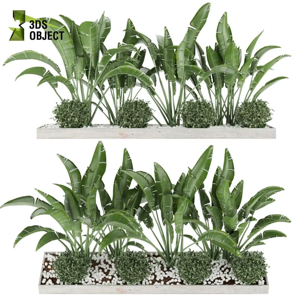 plants 3d model