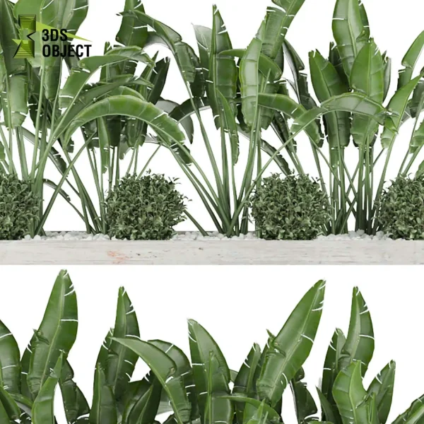 3d garden plant models botanical Visualization Landscape Foliage Vegetation Rendering Environment tree Design high poly banana bush tropical angel ivy planter pot greenhouse balcony decorative cinema 4d 3ds max blender enscpae fbx obj Rhino Sketchup lumion