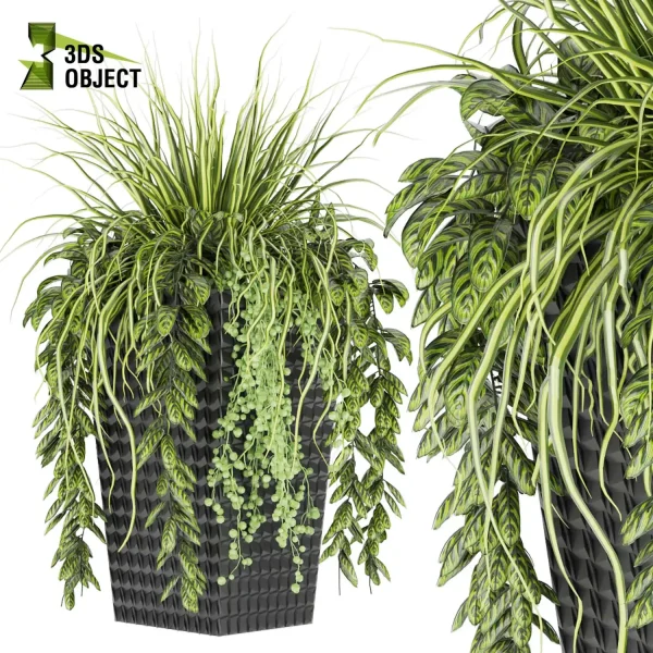 3d model plant free Vegetation tree box Foliage grass ivy Flower Models 3D Garden Assets Landscape Vegetation 3D Plant Library Plant Generator Vegetation Rendering fbx obj Rhino Sketchup lumion purchase