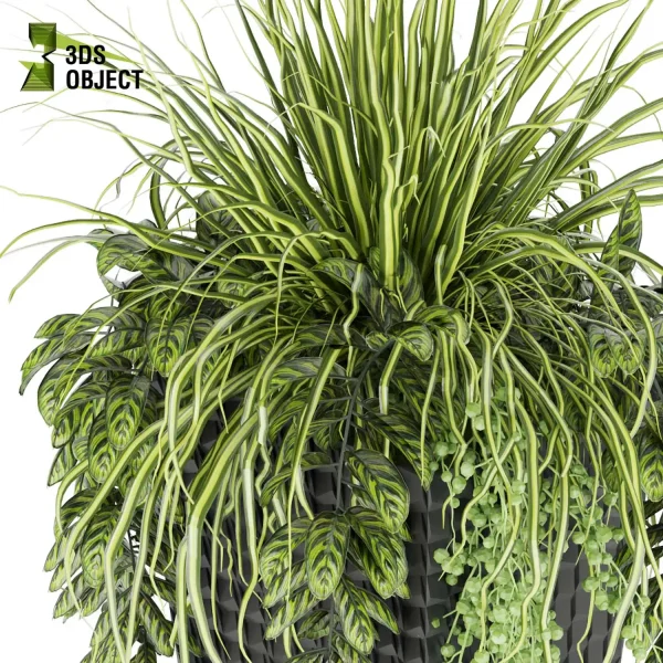 3d model plant free Vegetation tree box Foliage grass ivy Flower Models 3D Garden Assets Landscape Vegetation 3D Plant Library Plant Generator Vegetation Rendering fbx obj Rhino Sketchup lumion purchase