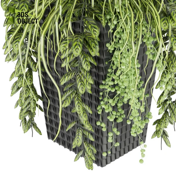 3d model plant free Vegetation tree box Foliage grass ivy Flower Models 3D Garden Assets Landscape Vegetation 3D Plant Library Plant Generator Vegetation Rendering fbx obj Rhino Sketchup lumion purchase