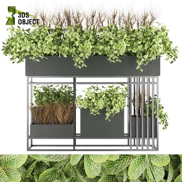 3d model plant free Vegetation tree box Foliage bush Virtual Garden Design Botanical Simulation Plant Visualization cinema 4d 3ds max fbx obj Rhino Sketchup lumion