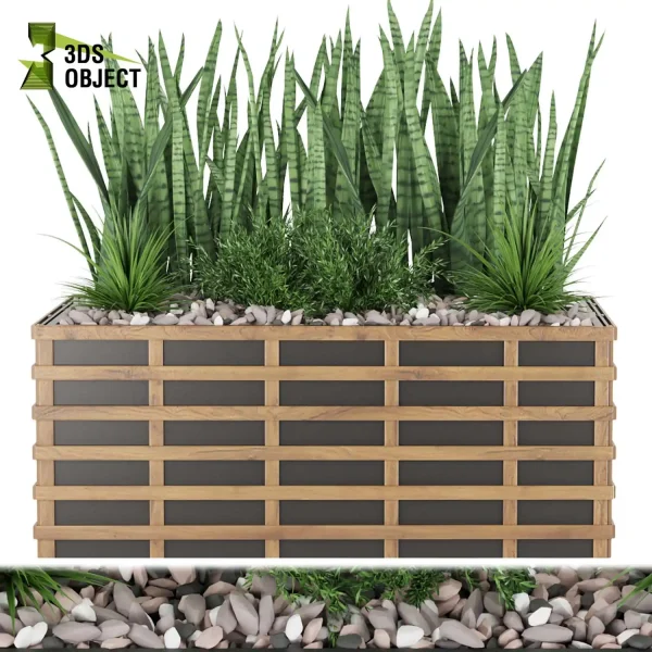 3d garden plant models botanical Visualization Landscape Foliage Vegetation Rendering Environment tree Design high poly sansevieria Bush grass 3D Tree Generator Landscape Design Software Foliage Rendering Digital Landscaping 3D Plant Creation Virtual Garden Design Botanical Simulation Plant Visualization Vegetation Modeling