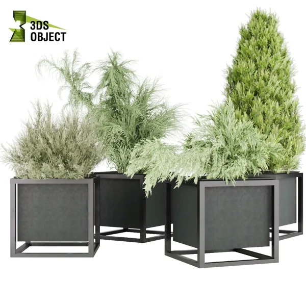 3d model plant free Vegetation tree box Foliage Pine 3D Plant Library Plant Design Software Plant Visualization cinema 4d 3ds max blender enscape fbx obj Rhino Sketchup lumion