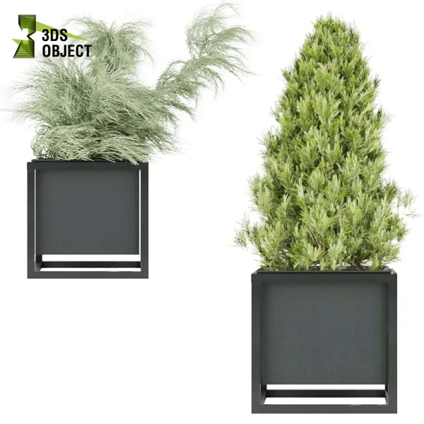 3d model plant free Vegetation tree box Foliage Pine 3D Plant Library Plant Design Software Plant Visualization cinema 4d 3ds max blender enscape fbx obj Rhino Sketchup lumion