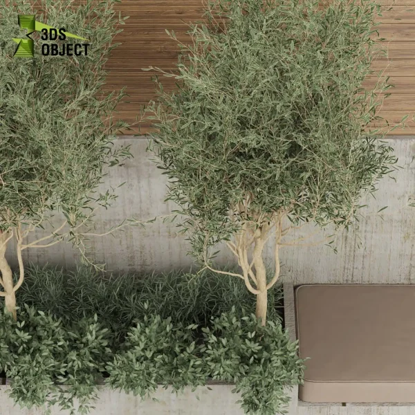 3d garden plant models botanical Visualization Landscape Foliage Vegetation Rendering Environment tree Design high poly Bush tree Olive 3D architectural visualization cinema 4d 3ds max blender enscpae fbx obj Rhino Sketchup lumion