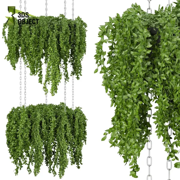 3d model plant hanging free Botanical Models Foliage Assets Sketchup lumion 3D architectural visualization Plant Library grass