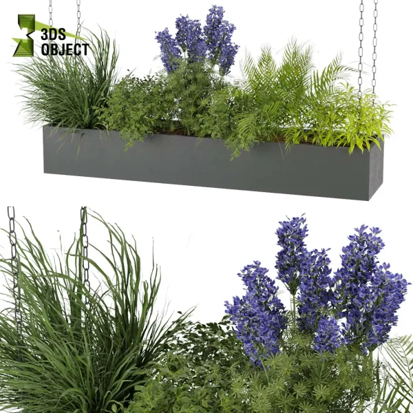 3d model plant hanging free Botanical Models Plam garss bush Hanging Plant Simulation fbx obj Rhino Sketchup lumion architectural visualization