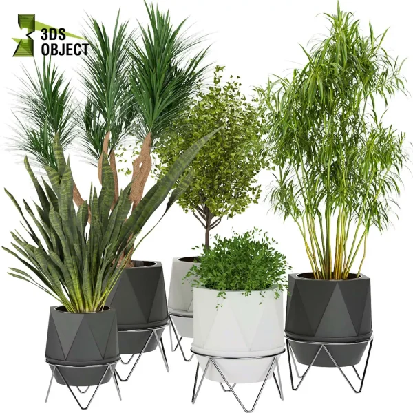 3d model plant pot free Dracena, sansveria, bush houseplants architecturevisualization rendering 3dsmax