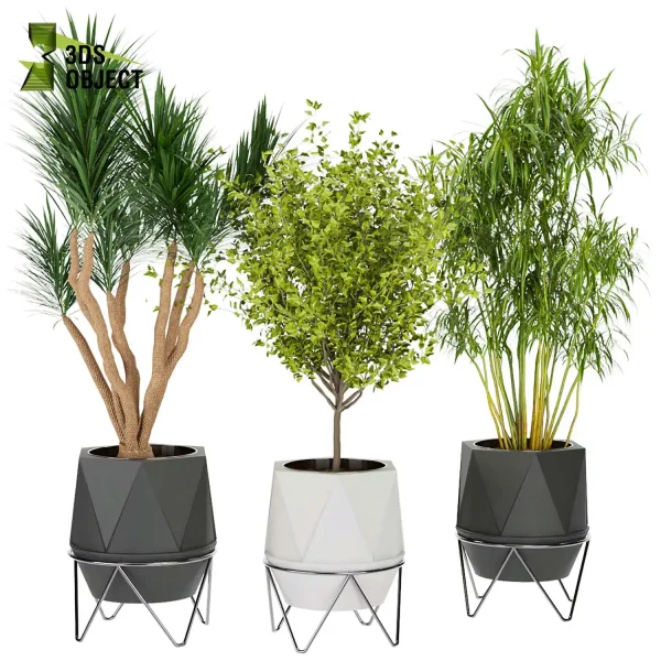 3d model plant pot free Dracena, sansveria, bush houseplants architecturevisualization rendering 3dsmax