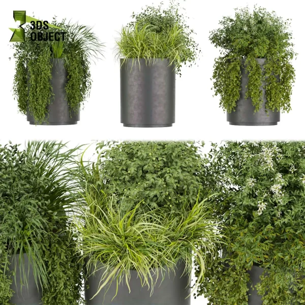 3d model plant free tropical tulip ivy pot bush rendering architecture blender