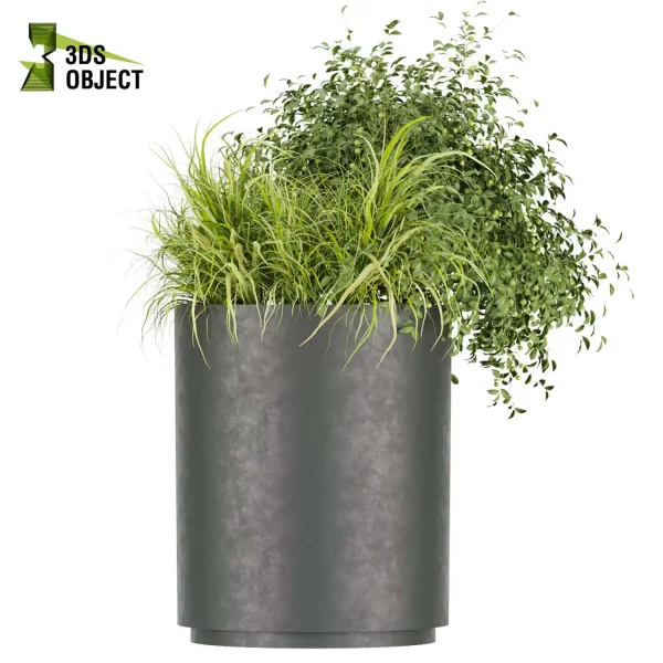 3d model plant free tropical tulip ivy pot bush rendering architecture blender