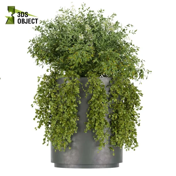 3d model plant free tropical tulip ivy pot bush rendering architecture blender