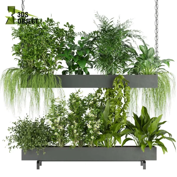 3d model plant hanging free Botanical Models Banana flower palm aglaonema Devil's ivy Foliage Rendering cinema 4d 3ds maxv