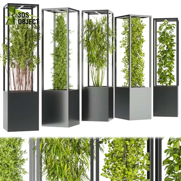 3d model plant free Vegetation tree box Foliage shurb tree Vegetation Rendering Plant Simulation Virtual Botany Ecological Simulation Digital Horticulture Plant Design Software cinema 4d 3ds max blender enscape fbx obj Rhino Sketchup lumion low poly