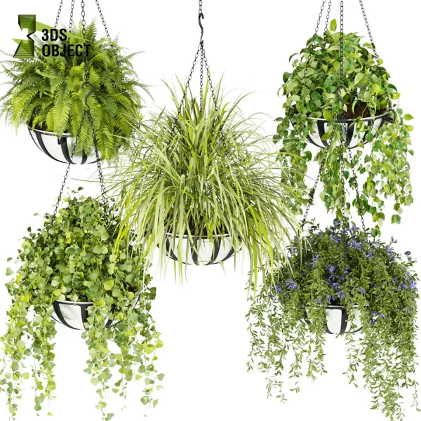 3d model plant hanging free Botanical Models Hanging Vegetation Plant Library architectural visualization