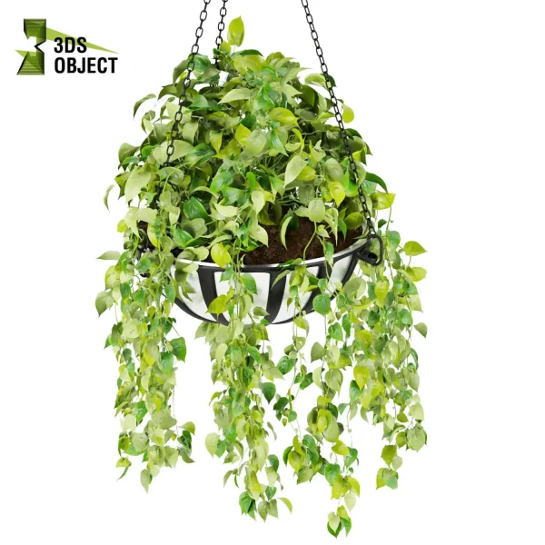 3d model plant hanging free Botanical Models Hanging Vegetation Plant Library architectural visualization