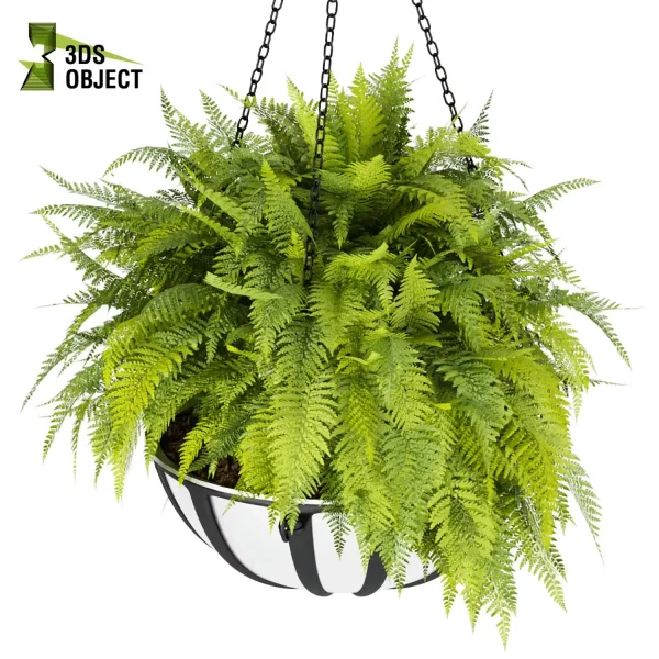 3d model plant hanging free Botanical Models Hanging Vegetation Plant Library architectural visualization