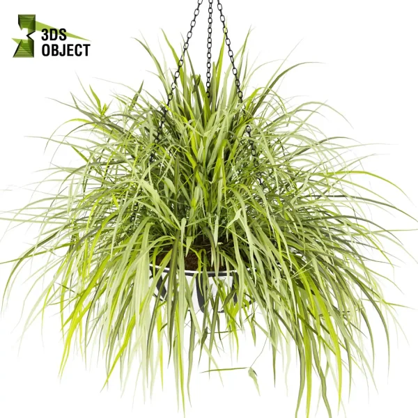 3d model plant hanging free Botanical Models Hanging Vegetation Plant Library architectural visualization