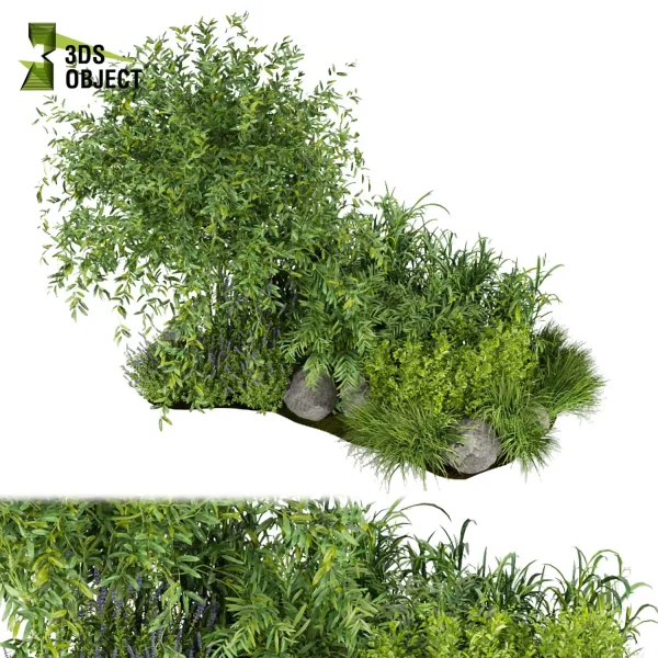 3d garden plant models botanical Visualization Landscape Foliage Vegetation Rendering Environment tree Design high poly bush tree lupinus grass cinema 4d 3ds max blender enscpae fbx obj Rhino Sketchup lumion