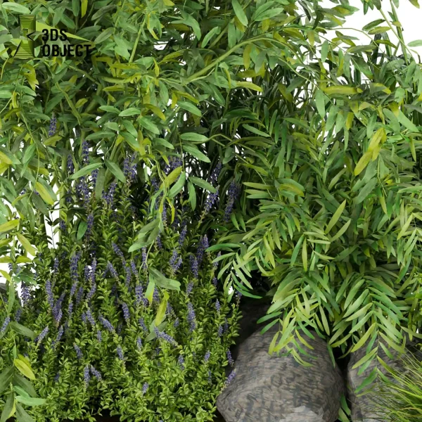 3d garden plant models botanical Visualization Landscape Foliage Vegetation Rendering Environment tree Design high poly bush tree lupinus grass cinema 4d 3ds max blender enscpae fbx obj Rhino Sketchup lumion