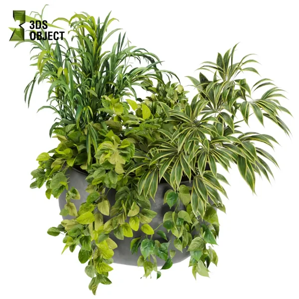 3d model plant pot free Bouquet architectural3D 3dvisualization