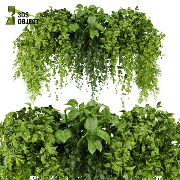 3d model plant free Vegetation tree box Foliage Pothos Devil's ivy balcony box buy Landscape Design Software Foliage Rendering Digital Landscaping 3D Plant Creation Virtual Garden Design Botanical Simulation Plant Visualization Vegetation Modeling indoor bush houseplant flowerpot