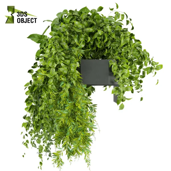 3d model plant free Vegetation tree box Foliage Pothos Devil's ivy balcony box buy Landscape Design Software Foliage Rendering Digital Landscaping 3D Plant Creation Virtual Garden Design Botanical Simulation Plant Visualization Vegetation Modeling indoor bush houseplant flowerpot