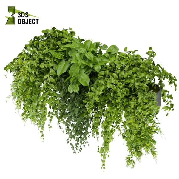 3d model plant free Vegetation tree box Foliage Pothos Devil's ivy balcony box buy Landscape Design Software Foliage Rendering Digital Landscaping 3D Plant Creation Virtual Garden Design Botanical Simulation Plant Visualization Vegetation Modeling indoor bush houseplant flowerpot