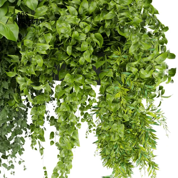 3d model plant free Vegetation tree box Foliage Pothos Devil's ivy balcony box buy Landscape Design Software Foliage Rendering Digital Landscaping 3D Plant Creation Virtual Garden Design Botanical Simulation Plant Visualization Vegetation Modeling indoor bush houseplant flowerpot