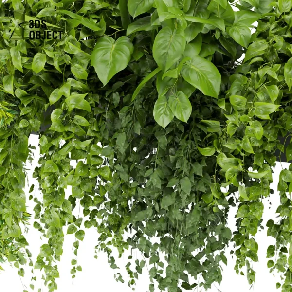 3d model plant free Vegetation tree box Foliage Pothos Devil's ivy balcony box buy Landscape Design Software Foliage Rendering Digital Landscaping 3D Plant Creation Virtual Garden Design Botanical Simulation Plant Visualization Vegetation Modeling indoor bush houseplant flowerpot