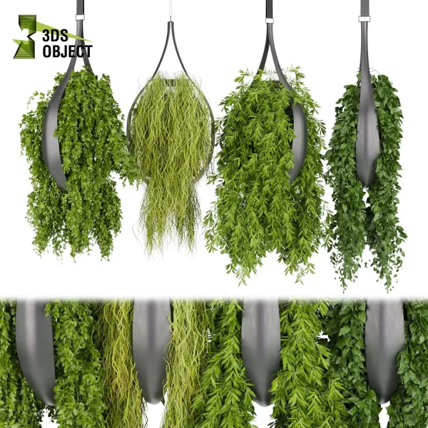 3d model plant hanging free Botanical Models Grass hedera ivy Forest Simulation 3D Tree Generator Landscape Design Software Foliage Rendering architectural visualization cinema 4d 3ds max blender Hanging Vegetation