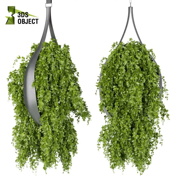 3d model plant hanging free Botanical Models Grass hedera ivy Forest Simulation 3D Tree Generator Landscape Design Software Foliage Rendering architectural visualization cinema 4d 3ds max blender Hanging Vegetation