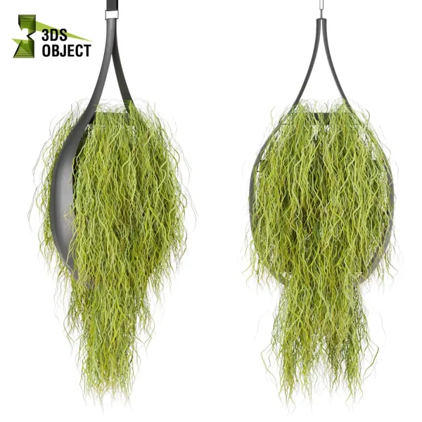 3d model plant hanging free Botanical Models Grass hedera ivy Forest Simulation 3D Tree Generator Landscape Design Software Foliage Rendering architectural visualization cinema 4d 3ds max blender Hanging Vegetation
