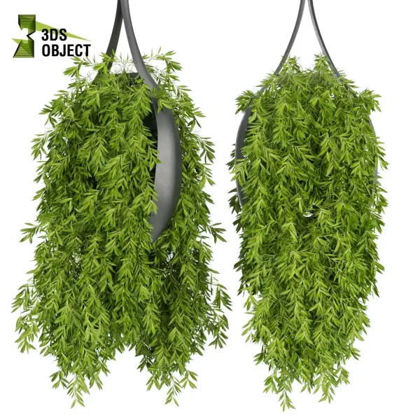 3d model plant hanging free Botanical Models Grass hedera ivy Forest Simulation 3D Tree Generator Landscape Design Software Foliage Rendering architectural visualization cinema 4d 3ds max blender Hanging Vegetation