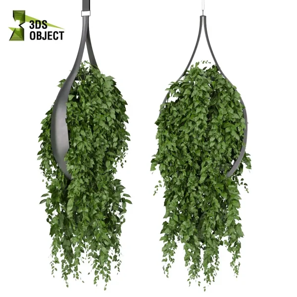 3d model plant hanging free Botanical Models Grass hedera ivy Forest Simulation 3D Tree Generator Landscape Design Software Foliage Rendering architectural visualization cinema 4d 3ds max blender Hanging Vegetation