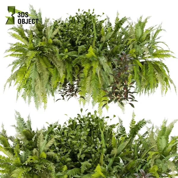 3d model plant free Vegetation tree box Foliage fern bush box purchase Tree Models Shrubbery Assets Grass Models Flower Models 3D Garden Assets Landscape Vegetation cinema 4d 3ds max blender enscape fbx obj Rhino Sketchup lumion