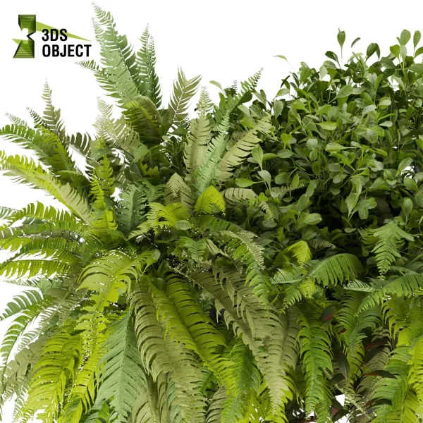 3d model plant free Vegetation tree box Foliage fern bush box purchase Tree Models Shrubbery Assets Grass Models Flower Models 3D Garden Assets Landscape Vegetation cinema 4d 3ds max blender enscape fbx obj Rhino Sketchup lumion