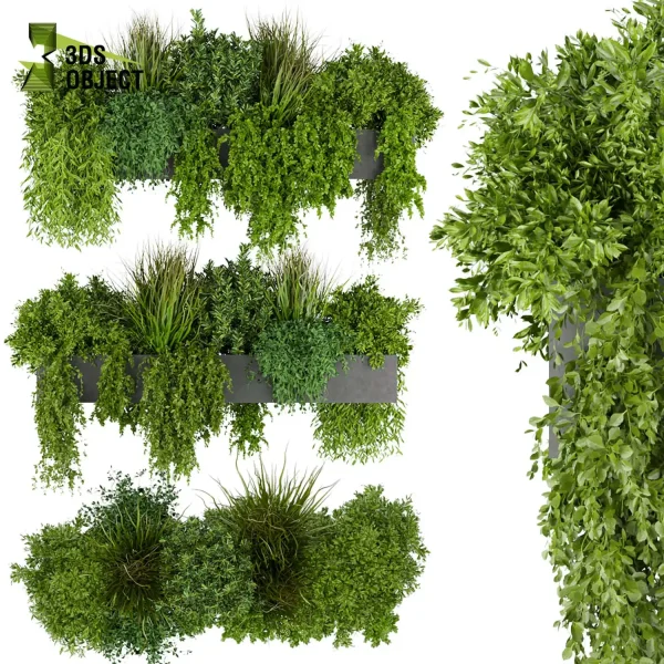 3d model plant free Vegetation tree box Foliage bush grass ivy 3drendering rendering 3drender architecture interior design design Plant Models Foliage Assets Botanical Models Virtual Hanging Gardens 3D Plant Library