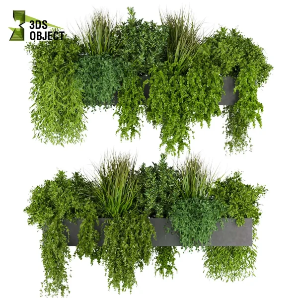 3d model plant free Vegetation tree box Foliage bush grass ivy 3drendering rendering 3drender architecture interior design design Plant Models Foliage Assets Botanical Models Virtual Hanging Gardens 3D Plant Library