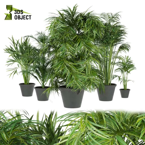 3d model plant pot free palm Kunstpflanze Areca rendering virtualrealityarchitecture