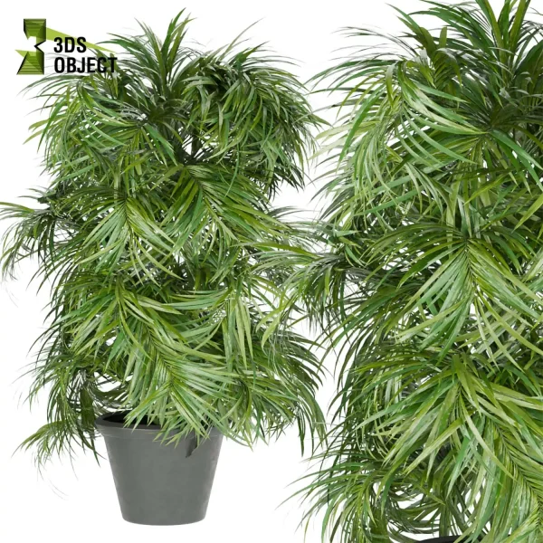 3d model plant pot free palm Kunstpflanze Areca rendering virtualrealityarchitecture