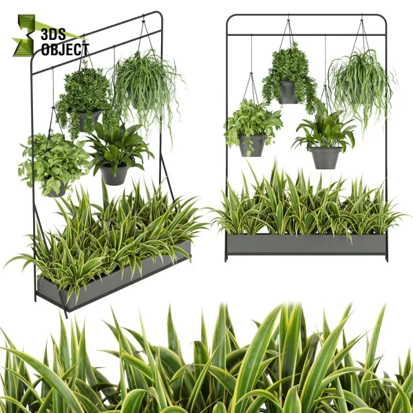 3d model plant hanging free Botanical Models Bush grass leaf interiordesign 3dmodeling visualization architectural Vegetation Hanging Greenery Assets