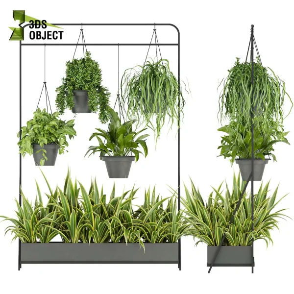 3d model plant hanging free Botanical Models Bush grass leaf interiordesign 3dmodeling visualization architectural Vegetation Hanging Greenery Assets