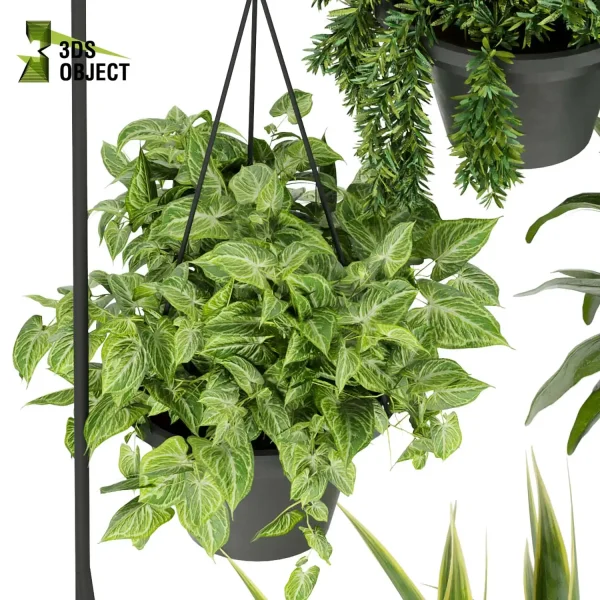 3d model plant hanging free Botanical Models Bush grass leaf interiordesign 3dmodeling visualization architectural Vegetation Hanging Greenery Assets