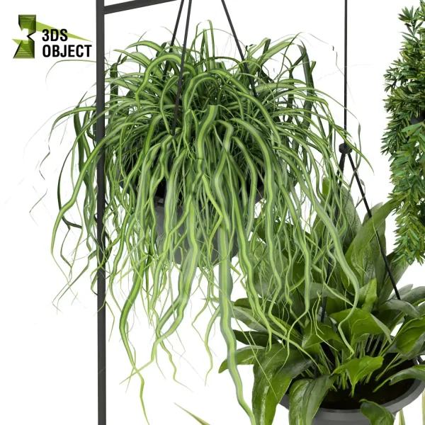 3d model plant hanging free Botanical Models Bush grass leaf interiordesign 3dmodeling visualization architectural Vegetation Hanging Greenery Assets